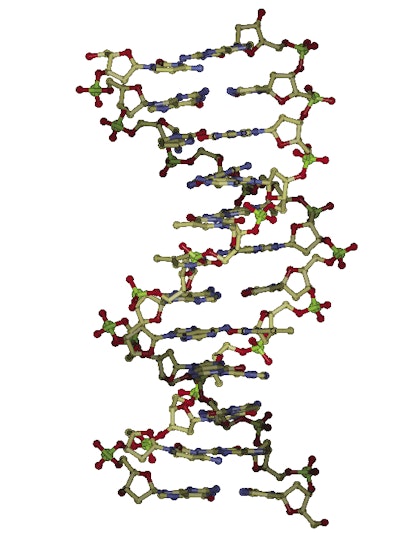 Model for sorption of mycotoxins onto the surface of clay. Current research into mycotoxin reduction involves the mixing of certain types of clays with the contaminated grain. Image credit: Dr. Tim Phillips, TAMU.