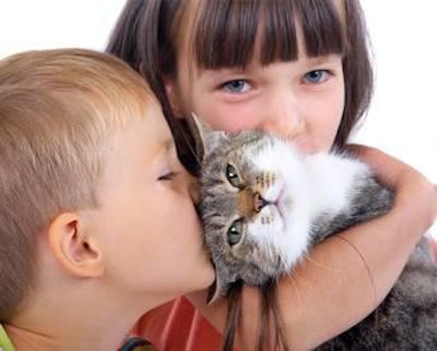 It is important to show pet parents that better ingredients mean a better quality of life for their companions, that feeding their pets your product can strengthen their emotional bond with their animals and that bond helps support their own health and wellness.