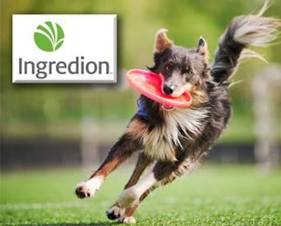 1403 Ingredion Webinar Lightbox 342x275