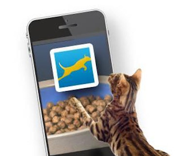 Smartphone apps allow pet parents to not only track what their pet is eating or how much exercise a pet is getting, but more importantly, keep an accurate record for veterinarians to better evaluate an animal's overall health.