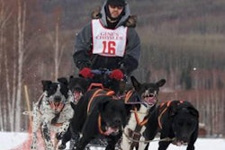 Robert Downey, founder and CEO of Annamaet Pet Foods, racing with his sled dog team.