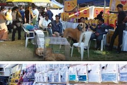 Pedigree has become synonymous with dog food in India, owing to its prolific marketing in all media platforms, educational campaigns for pet owners and widespread presence in the country.