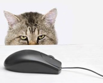 While most pet owners indicated they reduced spending on pet supplies during the recession, according to a survey conducted by Pet Business, many consumers gravitated online to purchase more-affordable substitutes in lower quantities.