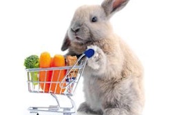 Petfood sales have thankfully recovered from their recessionary low; however, the trick will be to sustain or surpass this rate of growth, since at its current pace pet population growth is not sufficient to drive higher levels of market advancement.