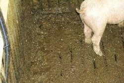 Looseness of the dung associated with lactose in the diet makes the ingredient unsuitable for prolonged feeding to pigs that are challenged by an enteric infection after weaning.