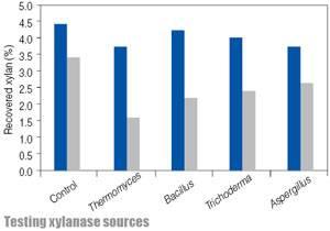 Testing xylanase sources Recovery of rye xylans, total ( ) or insoluble ( ), after digestion in an in vitro system mimicking the monogastric foregut digestion systemwithout or with xylanases derived from different organisms. Source: Pettersson and Korsbak, 2006.