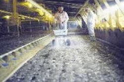 Litter amendments are widely used to control ammonia during brooding.