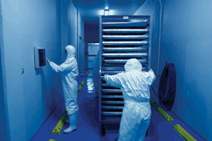 Solid state fermentation technology has proven to be a very efficient way to improve the nutritional value content of certain animal diets.