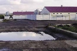 A nucleus herd site typifies the development of new units in the south-west of Russia. (Photos by Mark Jacques of MJ Consulting Ltd)