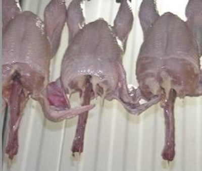 Exposing the shoulder joint lets workers make better shoulder cuts which improves breast meat yield.