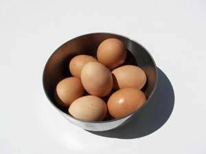 0908 Egg Qand Alyons1