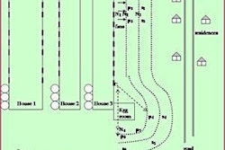 One of the experimental layouts using Norway spruce and hybrid poplar.