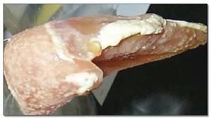 Spoiled breast fillet showing individual colonies that eventually become a slime layer