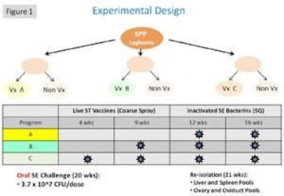 Three salmonella vaccination programs, labeled A, B and C, were tested to show how well each protected leghorn hens from SE colonization of the liver, spleen, ovary and oviducts following an oral SE challenge.