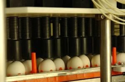 En los productos de áreas de enfoque se destina una buena parte de recursos a la investigación.
