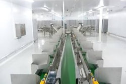 La nueva planta de incubación de Agrobueyca, tendrá la tecnología de punta de Pas Refom.