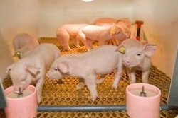 1112 Pi Gprovimirescuemilk