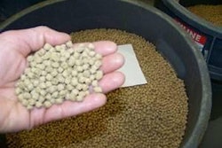 An example of feed pellets milled at the Bozeman Fish Technology Center in Montana. The experimental diets manufactured by BFTC are used in research trials across the western U.S.