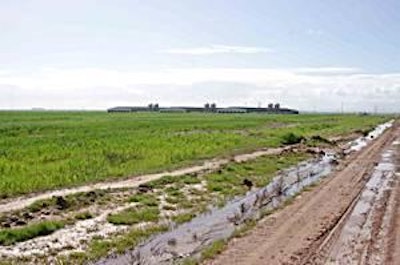 DFC has seven broiler sites in total.