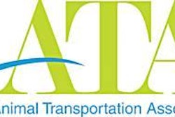 1211 Pifocus At Alogo