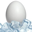 Rapid cooling of shell eggs can restrict the growth of Salmonella inside the egg and improve the safety of eggs.