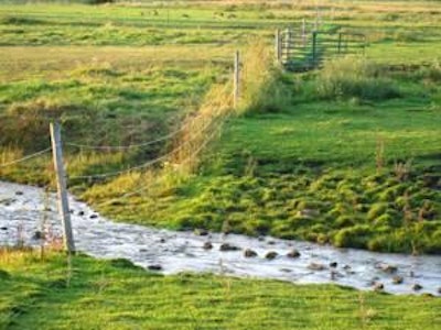 Ag Photo (14)