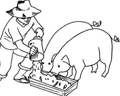 Liquid feeding has a long-standing tradition in the pig industry.