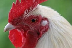 A program on the examination of the future direction of Asian broiler production and the Asian egg sector drew a strong interest at VIV Asia 2015.