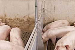 The LevelCheck feeding system is designed to help pig producers keep a closer eye on levels in feeding troughs to save time and money.