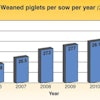 Out of 678 farms in the Netherlands recorded in 2011, no fewer than 164 succeeded in weaning 30 or more piglets per sow per year.