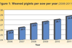 Out of 678 farms in the Netherlands recorded in 2011, no fewer than 164 succeeded in weaning 30 or more piglets per sow per year.