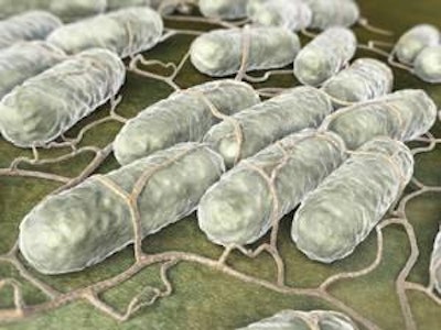 iStockphoto.com I iLexx | Poultry processors employ physical, thermal and chemical interventions during processing to remove and/or kill Salmonella cells that are attached to poultry carcasses and parts.