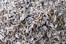 Sugar beet pulp is not only a fair source of energy, but also a good source of functional fiber in pig diets.