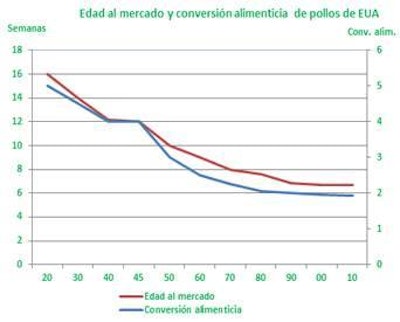 Alimenticia De Pollos 1403 Ia Noticias