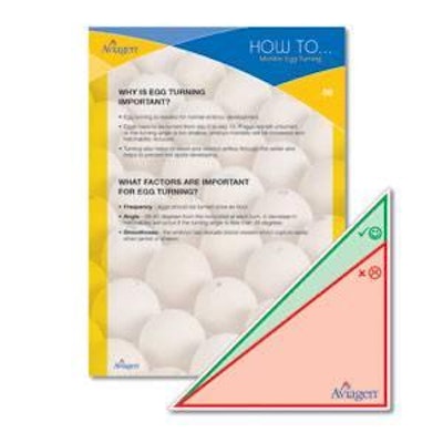 Aviagen's latest 'How To' document focuses on egg turning in the hatchery.