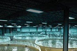 Bell Aquaculture | Bell Aquaculture’s vertically integrated aquaculture farm uses environmentally friendly recirculating aquaculture systems to promote fish health and limit pollution. Less than 10 percent of U.S. aquaculture utilizes this technology.