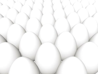 Bigstockphoto Easter Co Opt