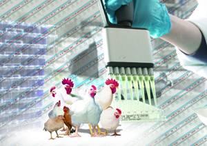 Genomica 1210 Ia Noticias