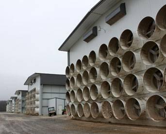 The EPA would like to link dust and feathers blown out of exhaust fans from poultry houses to stormwater runoff and excessive nutrients in streams, rivers and bays.