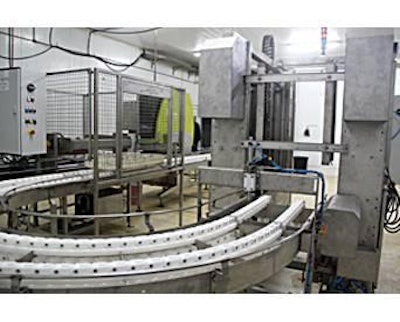 Poulina has installed a new transfer line at the hatchery, new candling equipment, and a transfer and hatcher basket stacker.