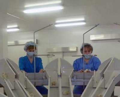 With equipment from Pas Reform, ZAO Okskaya PF will produce 80 million eggs a year.
