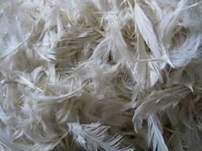 Plumas 1203 Ia Noticias