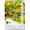 Solid Gold Grain Free