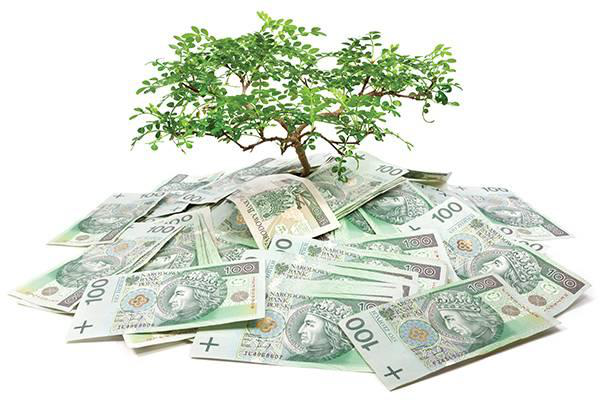 Poland's Pet Food Market