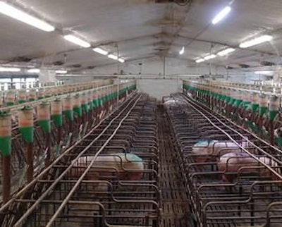 Currently, nine states have banned the use of gestation crates.