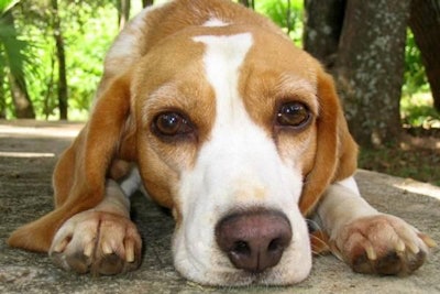 FREEIMAGES.COM | Marcos Santos