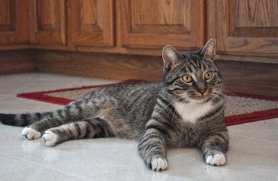 FOTER.COM | aperture_lag