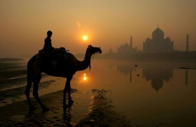 Photo by Half Orc | FREEIMAGES.COM