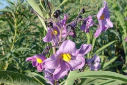 1601IAvitamind_lightbox