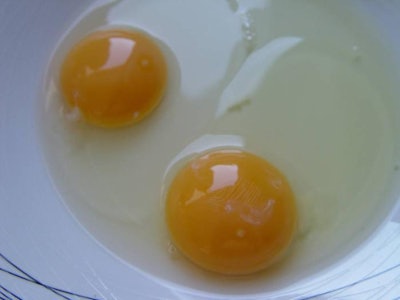 News / BR / Bimbo / Huevos / Gallinas libres